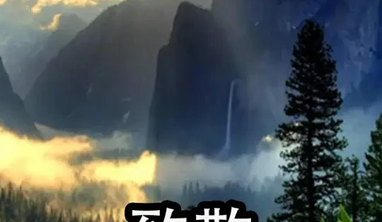 非线性舌尖风物